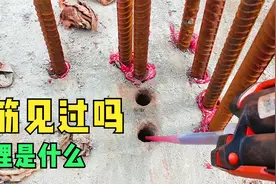 植筋是干什么的？听过很多次却没见过，这回搞明白了视频封面