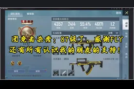 团竞击杀秀：87级了，感谢FLY还有所有认识我的朋友的支持！视频封面