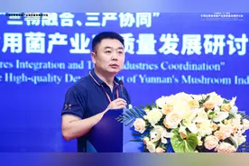 云南食用菌产业高质量发展研讨会426昆明举办，三物融合三产协同视频封面