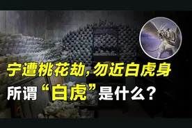 正所谓：宁遭桃花劫，勿近白虎身，所谓的“白虎”究竟是何物？视频封面