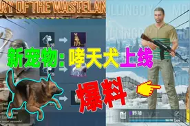 国际服12赛季爆料：光子憋大招，宠物系统，狗子即将上线！视频封面