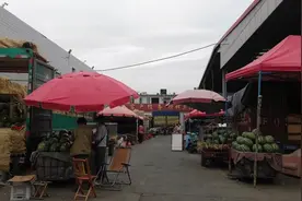 石家庄开发区最大的农贸批发市场，这的瓜果蔬菜超便宜，太诱人了视频封面