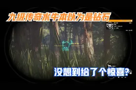 荒野的呼唤：偶遇九级传奇水牛，本以为是钻石，没想到给了个惊喜视频封面