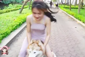 太逗了！美女配狗狗玩耍，骑在狗狗身上一路向前走视频封面