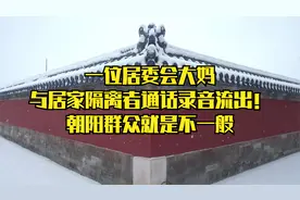 朝阳群众就是不一般！一位居委会大妈与居家隔离者通话录音流出视频封面
