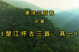唐诗三百首《楚江怀古三首·其一》古诗朗读赏析流传千古怀古名诗视频封面