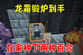 我的世界冰火传说96：龙霜锻炉到手，我在家里种了红蓝两朵百合