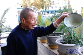 君子兰是个“小酒鬼”，30天灌一次，叶子翠绿花朵大如碗！视频封面