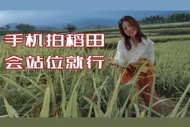 不会拍照技巧？快去拍稻田吧，只要会站位就行！