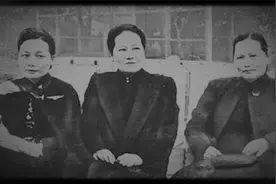 宋美龄：南京为什么有这么多梧桐树，背后故事远不止浪漫这么简单视频封面