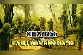 30万韩军参加越战，常年保持5万士兵在越，他们到底做了什么视频封面