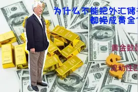 为什么不能把外汇储备全部换成黄金？视频封面