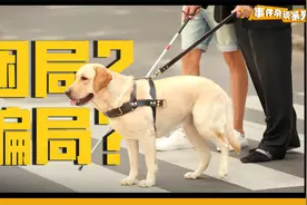 身价20万的导盲犬，是骗局还是困局？视频封面