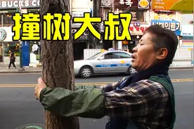 大叔非要与大树死磕，5年下来脑袋上都被撞起了老茧视频封面