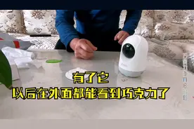 入手一台360监控摄像头，以后在外面就可以随时随地的看巧克力了视频封面