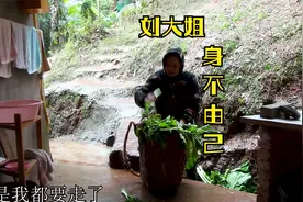 岳父母对女婿的溺爱胜过自己的女儿。视频封面