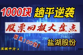 炒股之1000块钱买了盐湖股份，收益想不到。视频封面