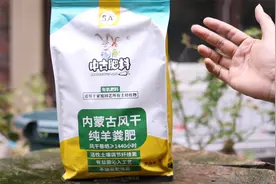 阳台种菜养花用什么有机肥？园艺师教你，用羊粪肥，有机质含量高视频封面