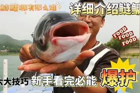 钓鲢鳙原来如此简单！只需记住这六个技巧，邓刚来了都得服！视频封面