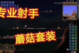 泰拉瑞亚48：升级专业的射手套装蘑菇套，小童打月总必备装备视频封面