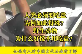 人类必须要吃盐，为何如此特殊？野生动物为什么好像不用吃盐？