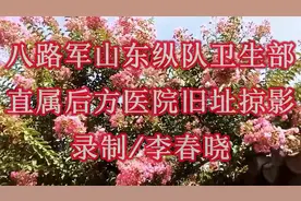 八路军山东纵队卫生部直属后方医院旧址掠影（音画）/李春晓视频封面