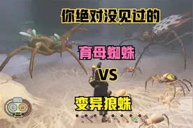 本期视频教大家如何拉蜘蛛去育母蜘蛛洞穴