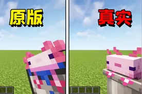 我的世界：更真实的水桶，美西螈能在桶里动了超可爱！