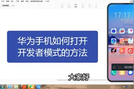 华为手机如何打开开发者模式的方法,简单一看就会了