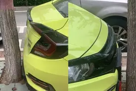 这是高手！小车“严丝合缝”停2树中间，司机打几把方向轻松开出视频封面