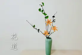 插花美学——瓶花的固定技巧，撒的使用你学会了吗？视频封面