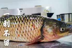 原来草鱼去刺这么简单，2分钟去除干净，让吃鱼比吃豆腐还放心