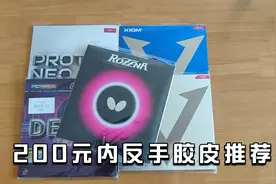 200元内反手胶皮哪几款好打，选择这5款就够了，适合99%的球友视频封面