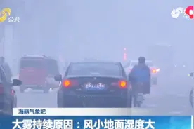 山东气象台详解本轮大雾：风小地面湿度大，还将持续至少两三天视频封面