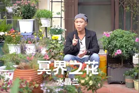 冥界之花水晶兰，据说一颗价值上千万，吃了能起死回生视频封面