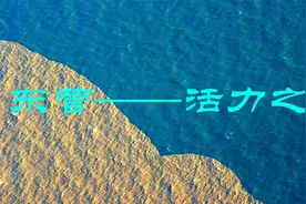 石油东营，胜利油田崛起之地，一座活力之城，生态之城视频封面
