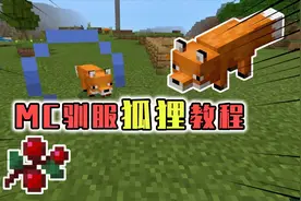 我的世界：用残忍的手法驯服狐狸，驯服成功后就不会吃鸡了！