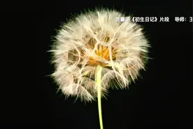 2020浙江理工大学服装学院毕业设计展——何为良好生活Ⅰ视频封面