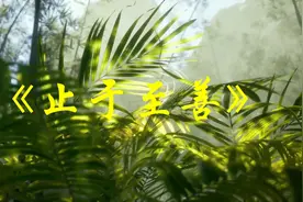 [音疗养生]《止于至善》养心安神，宁心净脑，常听舒肝理气调心视频封面