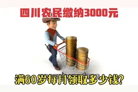 四川农民缴纳3000元，满60岁每月领取多少钱？未来还会涨工资吗？视频封面