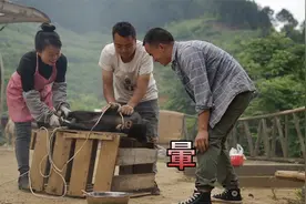 农村小伙自制烤箱，今天终于派上用场了，烤出来香猪味道如何？视频封面