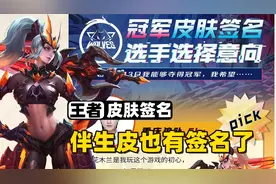 王者将有5款皮肤拥有专属定制签名，而且伴生皮也有哦！