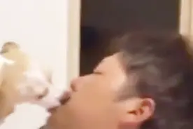 吻得太逼真！男子醉倒后遭狗狗“狂吻” 网友：到洗牙的程度了视频封面