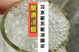 高粱酿酒，高粱泡粮能不能用冷水？泡高粱用多少温度水视频封面