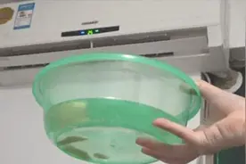开空调，房间里为什么要放一盆水？多亏内行人告诫，立马叮嘱家人
