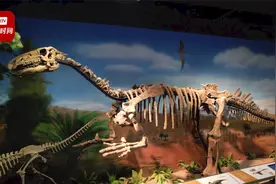 探秘内蒙古自然博物馆镇馆之宝：1.2亿年前完整恐龙化石举世罕见视频封面