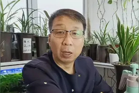 冬季北方室内湿度低，如何才能养好兰花？视频封面