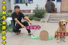 小亮用废旧物品做了个会跑的蜗牛，可金毛却说像毛毛虫，真是搞笑视频封面