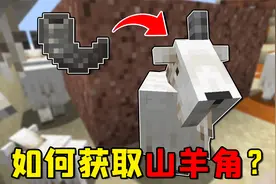 我的世界：幽匿催化体本体竟是骨块？1.19你可能不知道的5个细节