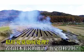 秸秆究竟如何处理？看看日本农民的做法，你觉得科学吗？视频封面